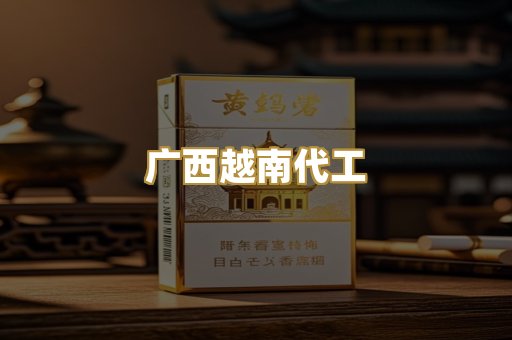 广西越南代工